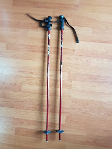 Rossignol coppia bastoncini - rossignol,