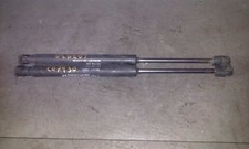 TRUNK SHOCK ABSORBERS / DOORS