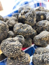 Tartufo Nero Uncinato 