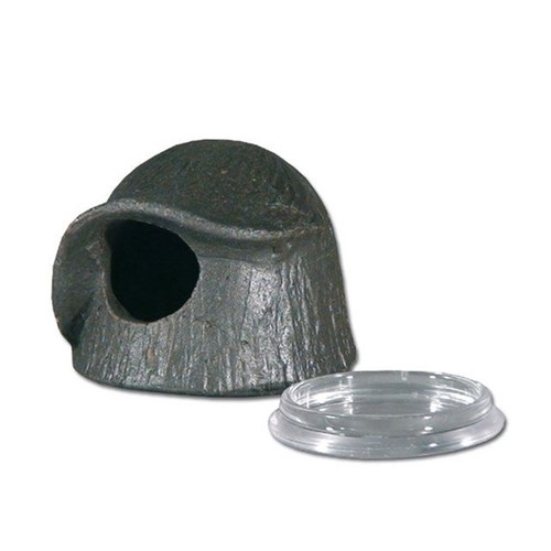 Aquariumline cave drink - aquariumline, cave+drink