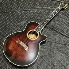 Chitarra elettrica acustica