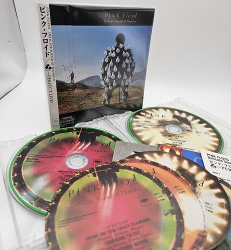 Pink floyd delicate sound - floyd,