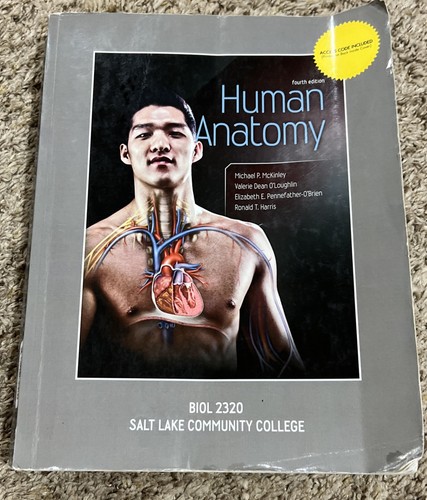 Human anatomy fourth - human,