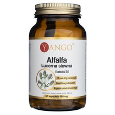 Yango Alfalfa Semi di erba