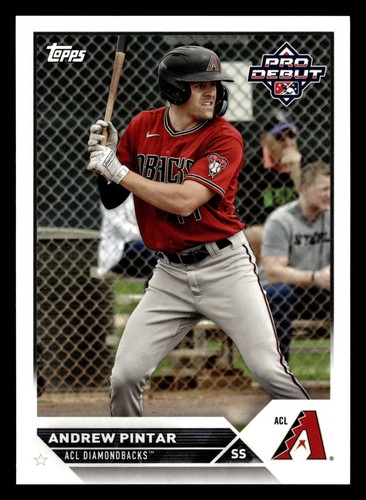 Andrew pintar 2023 - 2023, pro