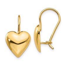 Orecchini filo renale cuore