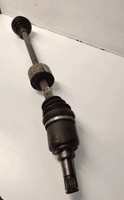 46308259 Semialbero ant