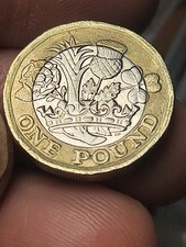 Moneta da Una Sterlina one