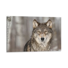 Quadro Stampa su Tela con