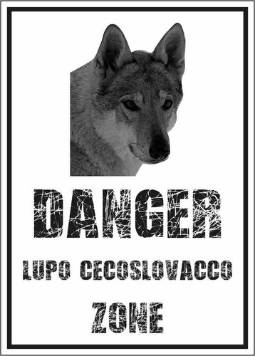 Cartello segnaletico lupo - segnaletico,