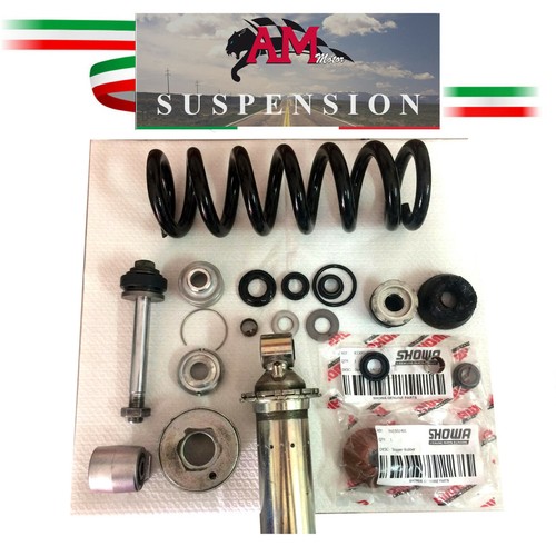 Revisione mono ammortizzatore - revisione,