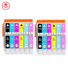 Cartuccia di inchiostro 12