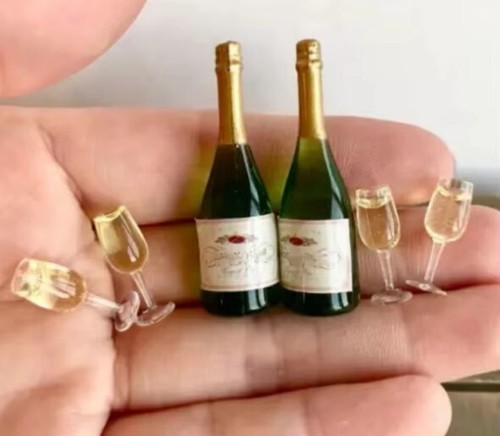 Bottiglie champagne in - champagne,