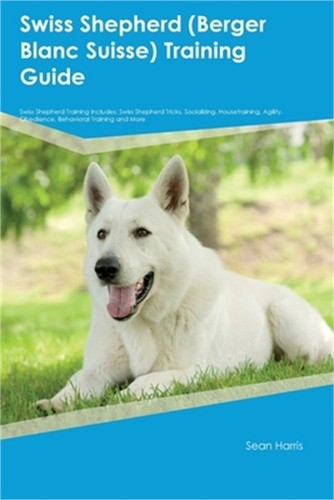 Swiss shepherd berger blanc - swiss,