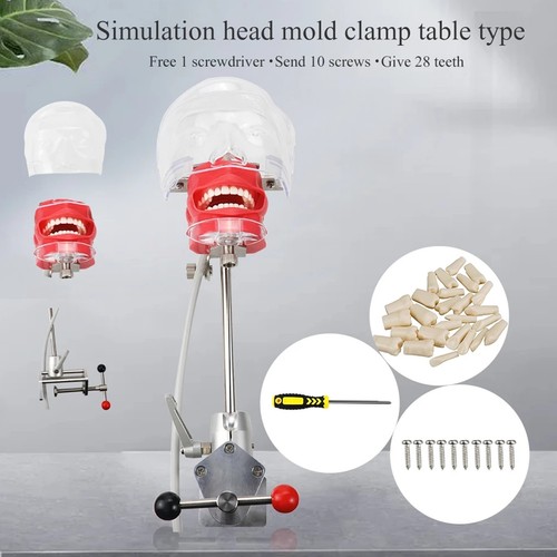 Simulatore dentale manichino - dentale,