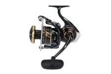 DAIWA 23 Caldia SW - Mulinello
