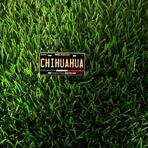 Spilla chihuahua messico - spilla,