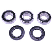 Cuscinetti Ruota Posteriori