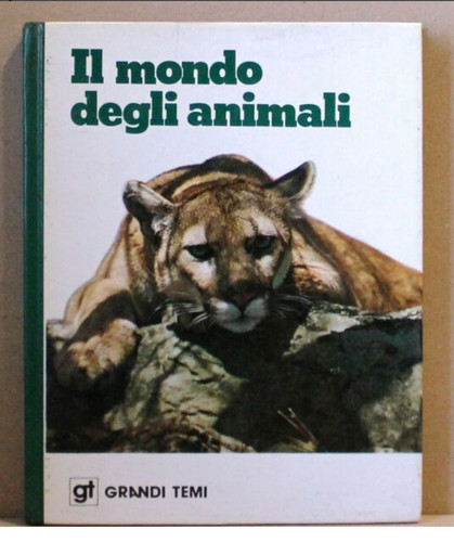 Mondo degli animali grandi - mondo,