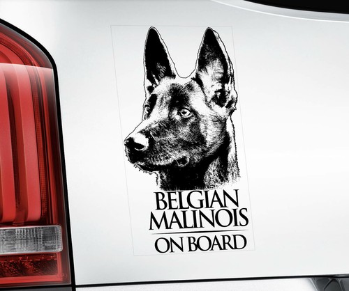 Adesivo belgian malinois - adesivo,
