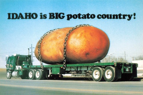 Cartolina patate - cartolina,