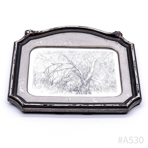 Disegno vintage salice - disegno, "salice