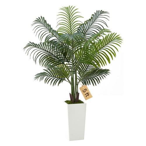 Vevor 1524 palma areca - vevor, mm
