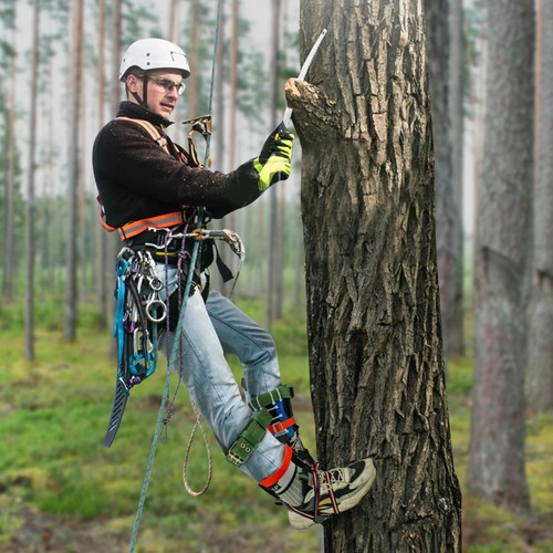 Attrezzatura punte arrampicata