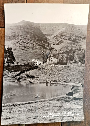 Anni bolla monte - anni,