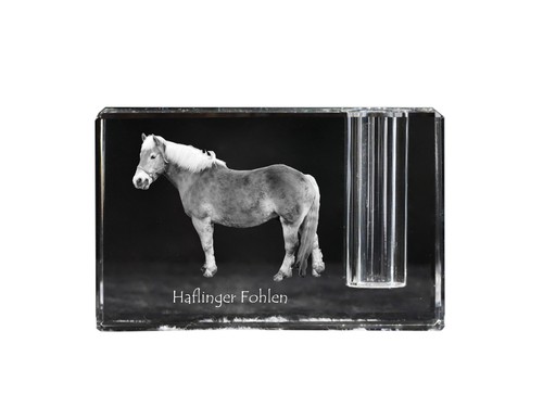 Haflinger fohlen portapenne - haflinger, in