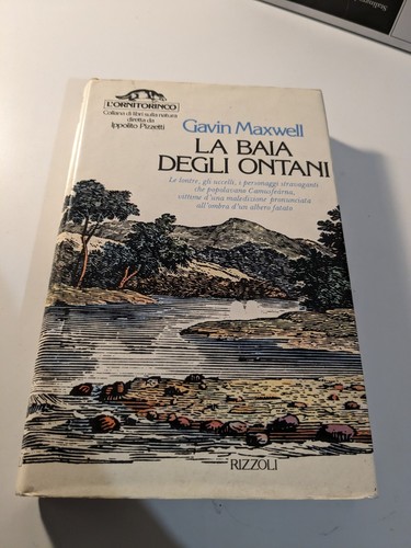 Baia degli ontani - baia,