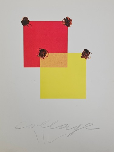 Aldo mondino litografia - aldo,
