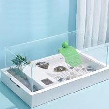  Accessori Tartaruga per