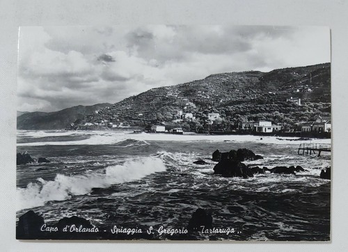 54879 5335 cartolina - 5335,
