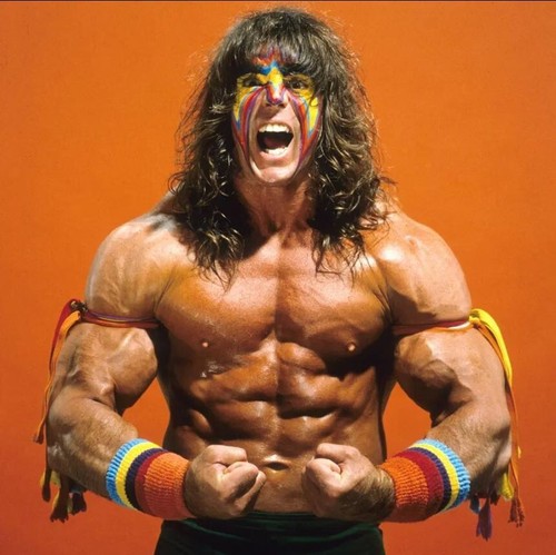 Wrestling superstars - superstars,