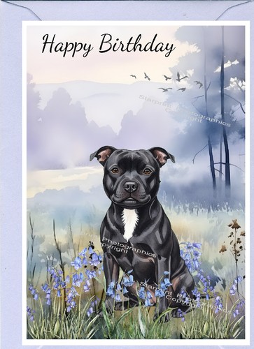 Biglietto compleanno - biglietto, di