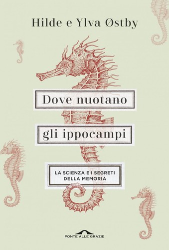 Dove nuotano gli - , la