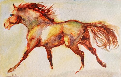 Quadro acquerello arte corsa