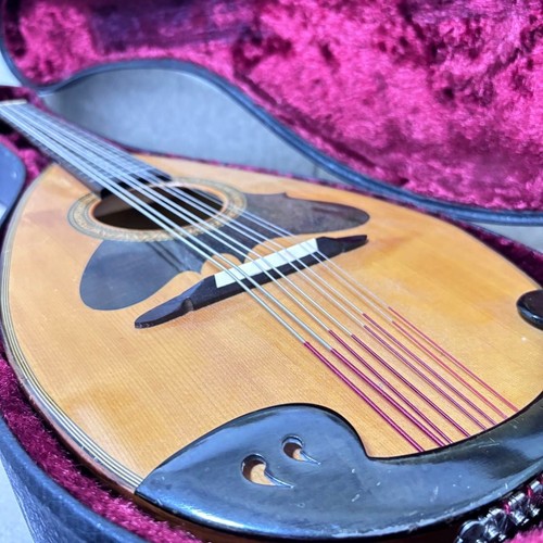 Strumento corde mandola - strumento,