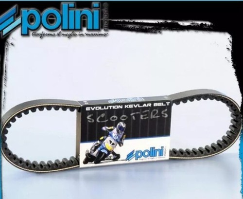 248 031 cinghia variatore - cinghia,