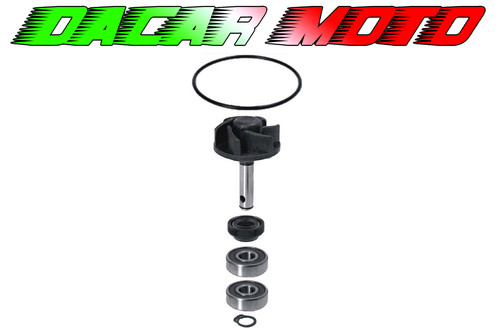 Kit revisione pompa acqua - revisione,