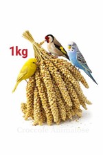 Panico in Spighe Naturali 1 Kg