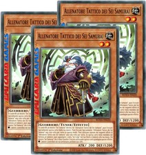 Allenatore tattico dei - -,