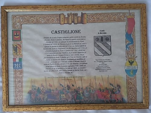 Araldica quadro con stemma - araldica,,