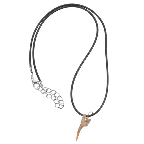 Collana con ciondolo - , denti