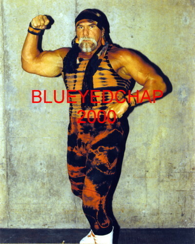 Foto wrestling superstar - foto,