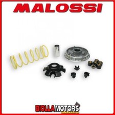 5116061 VARIATORE MALOSSI AEON