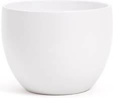 Elegante vaso coppa in - vaso,