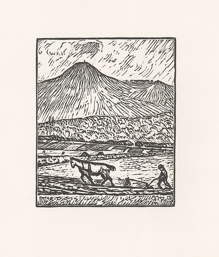 Wilhelm laage bauer e - wilhelm,