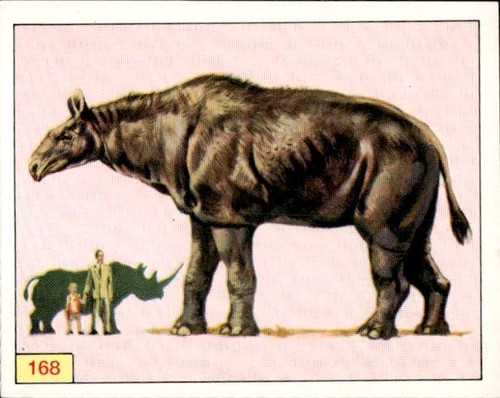 Figurine animali preistorici - animali,